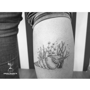 Tattoo by Anacronia Tattoo Studio