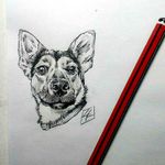 #desing #dog #sefermort #diseñotattoo #diseñomascota