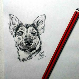 #desing #dog #sefermort #diseñotattoo #diseñomascota
