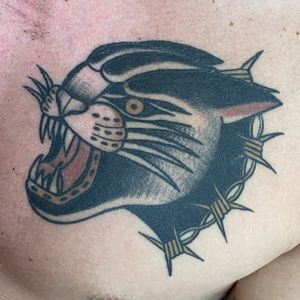 Healed panther 