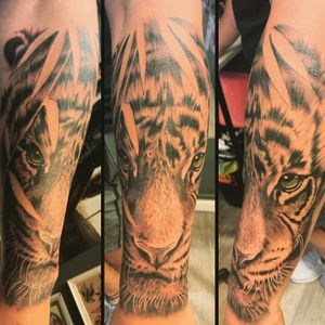 Cool tiger piece done recently 