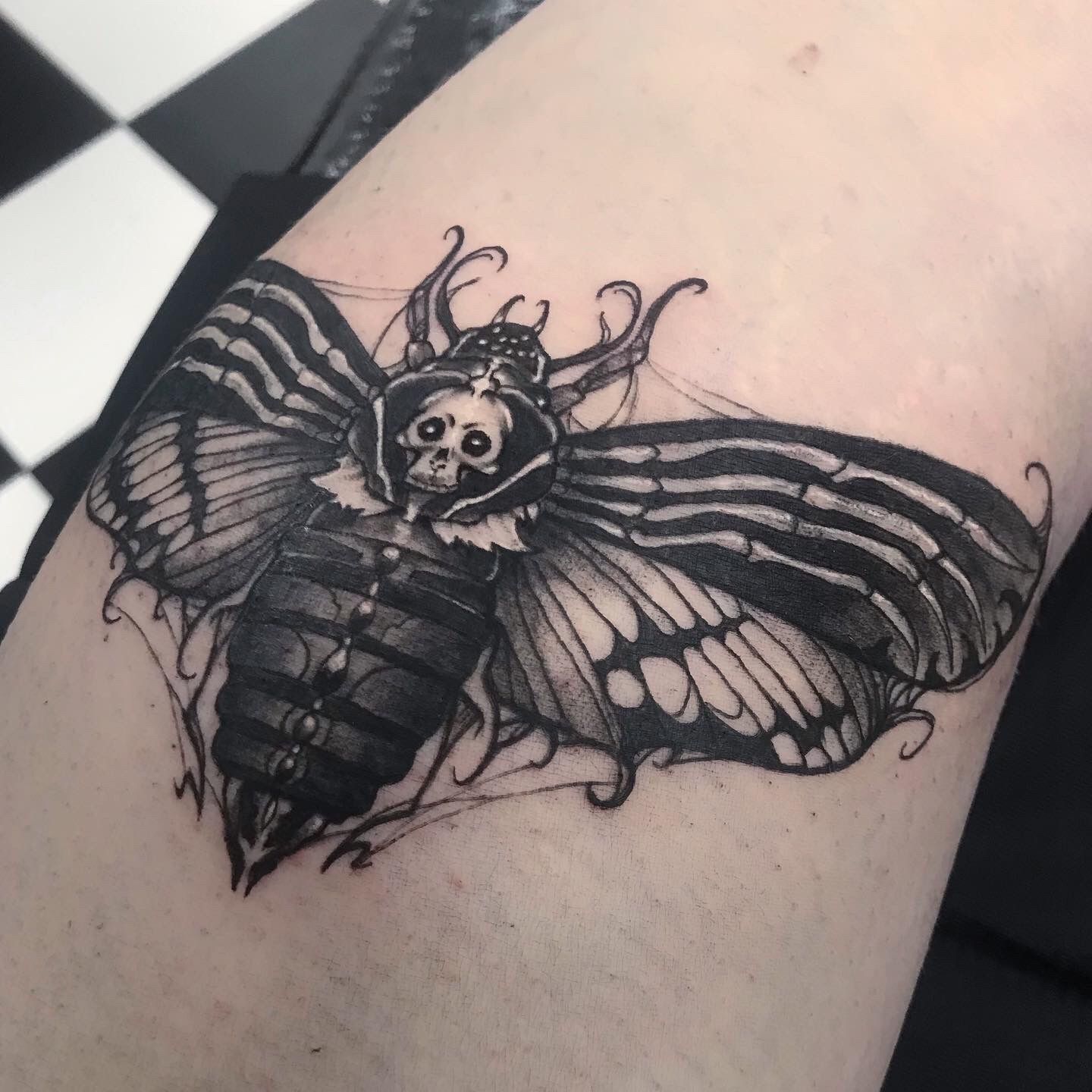 160 Amazing Moth Tattoos Designs with Meaning 2023  TattoosBoyGirl