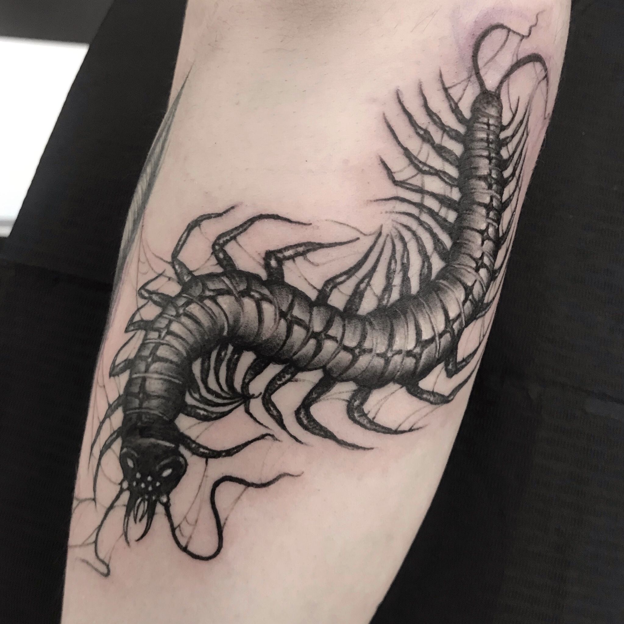 Centipede Tattoo Meaning With 115 Stunning Images To Express Your  Spirituality