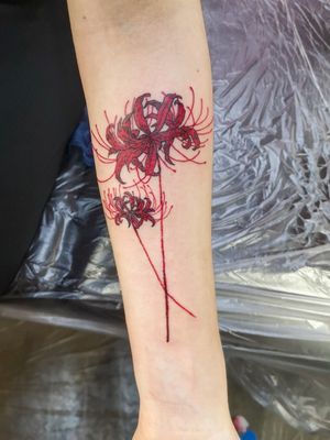 #spiderlily #higanbana #tattootokyo #tokyotattoo #tattoojapan #japantattoo #redflower #redtattoo
