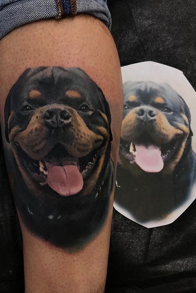 Tattoo uploaded by World Famous Tattoo Art Gallery Long Island • Rottweiler  #color #photorealism #dog • Tattoodo