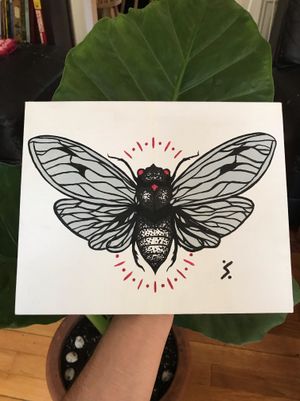 Cicada - acrylic on canvas 