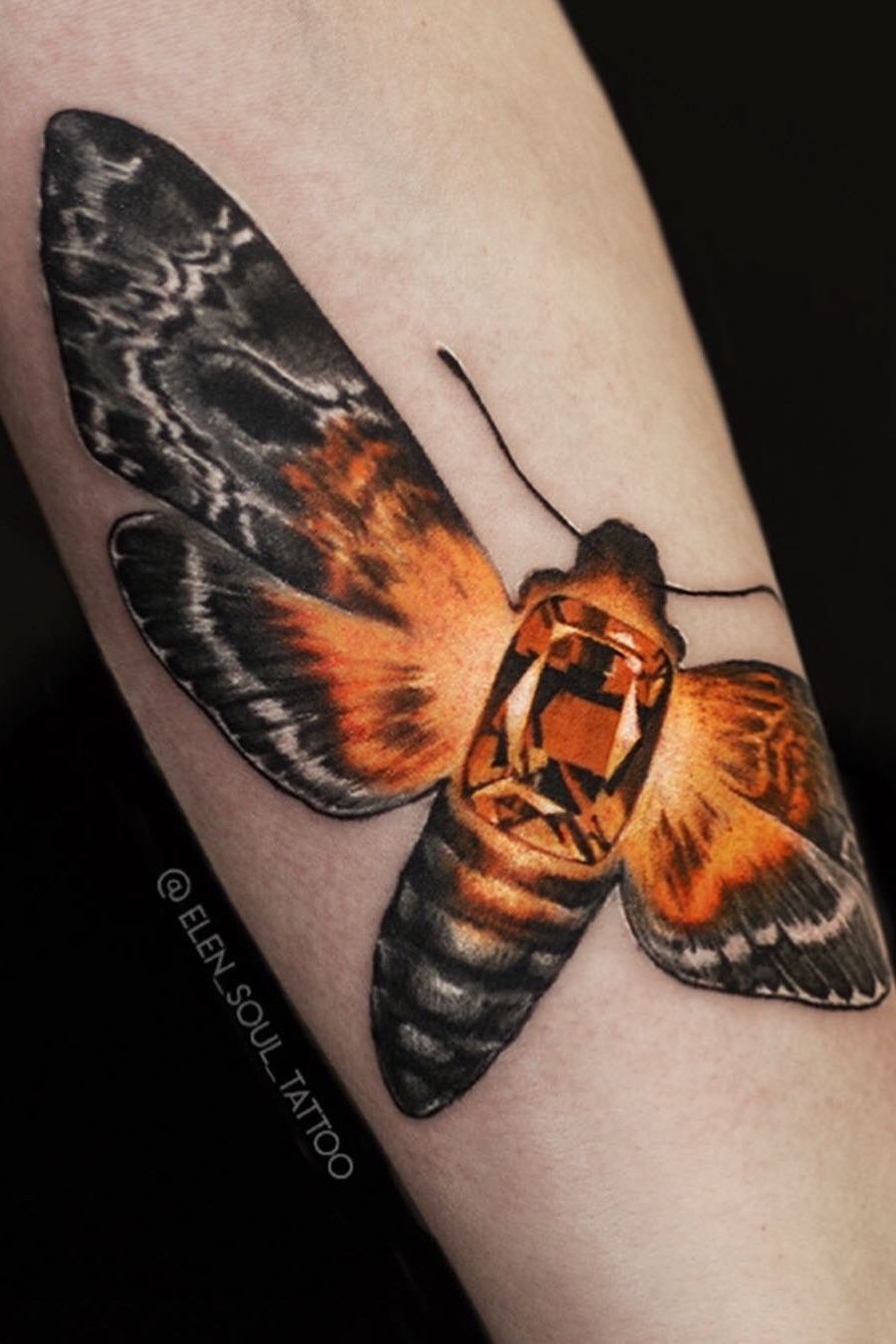 Painted Temple  Tattoos  Nature Animal Insect  Death Moth with Hint of  Color