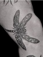 Dragonfly. Paige Jean Tattoos. Salt Lake City, Utah. 