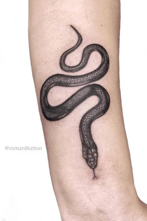 Black snake