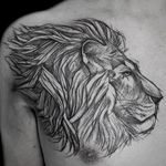 Sketch style lion. Paige Jean Tattoos. Salt Lake City, Utah. • Contact me on my Instagram @paigejeantattoos or text me at 805-835-2230