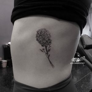 Marigold flower on the ribs