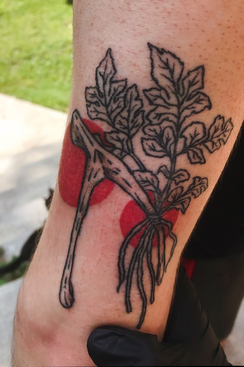 Tattoo uploaded by Sunshine Estes • Wishbone and cilantro plant • Tattoodo