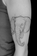 Elephant. Sketch style. Paige Jean Tattoos. Salt Lake City, Utah. • Contact me on my Instagram @paigejeantattoos or text me at 805-835-2230