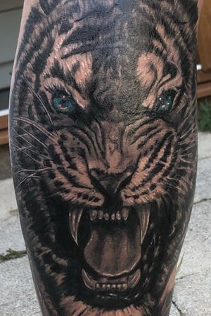 Tattoo uploaded by Wes Trav • Rear calf tiger tattoo, healed other than the  eyes • Tattoodo