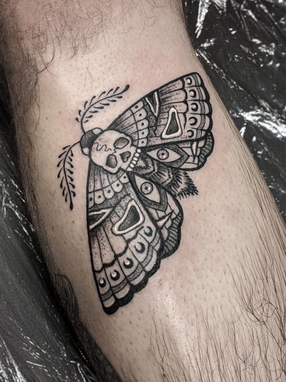 Bisexual moth tattoo
