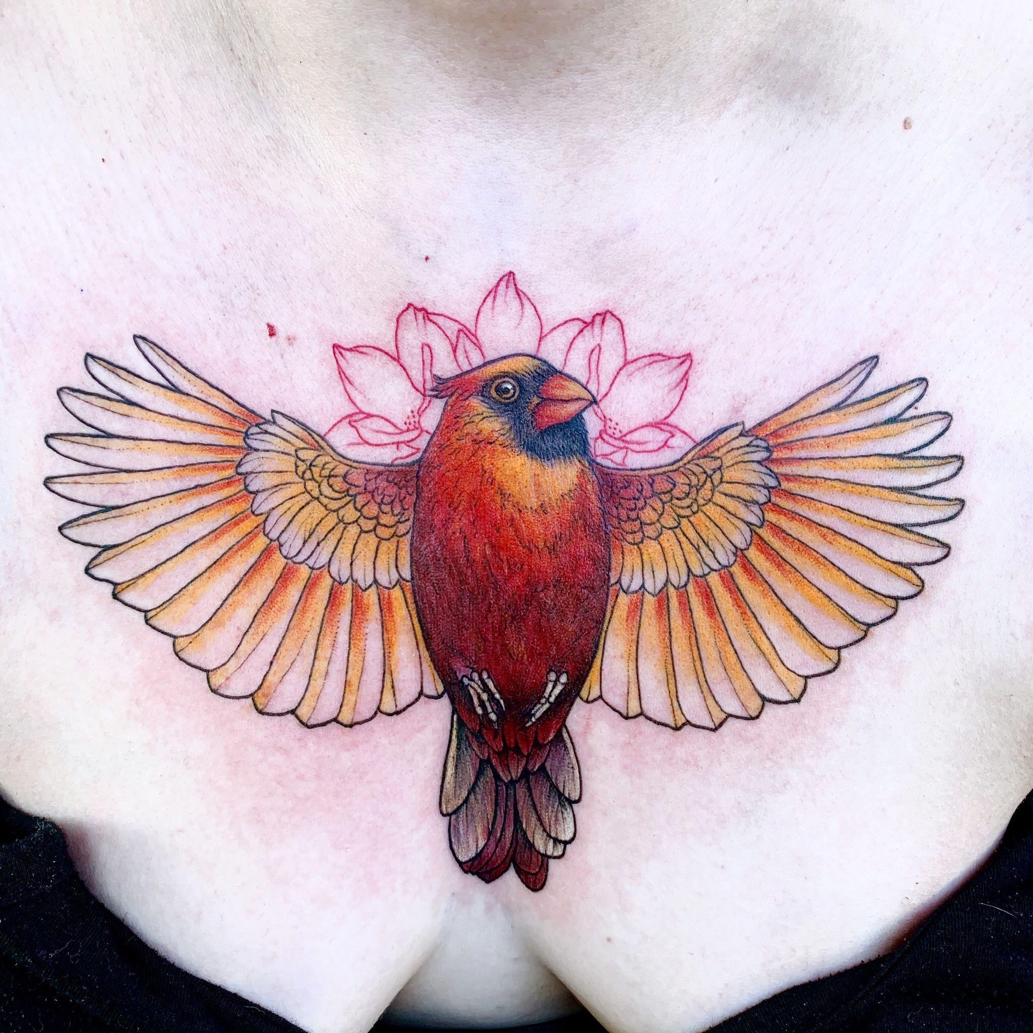 15 Latest Cardinal Tattoo Designs