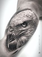 Eagle Head Realistic Tattoo Black and Grey Joel Meyer