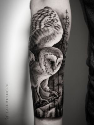 Barn Owl Realistic Tattoo Black and Grey Joel Meyer