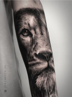 Lion Realistic Tattoo Black and Grey Joel Meyer