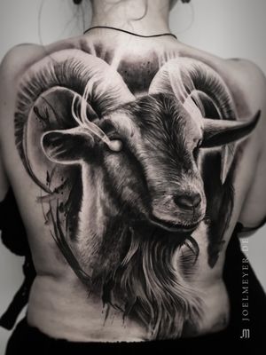 Goat Realistic Tattoo Black and Grey Joel Meyer