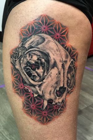 Cat skull with geometric background