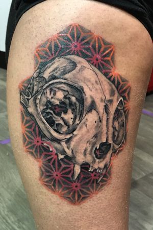 Cat skull with geometric background🤘