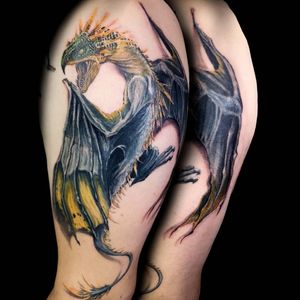 Dragon tattoo, Harry Potter, Hungarian horntail. Arm tattoo, color. 