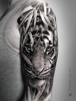 Tiger Realistic Tattoo Black and Grey Joel Meyer