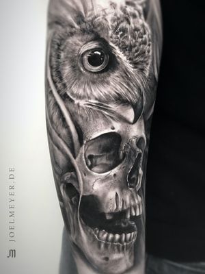 Skull Owl Realistic Tattoo Black and Grey Joel Meyer
