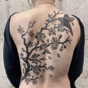 벚꽃, 벌새 등판 커버업. Cherry blossom tree and humming bird back piece. . . . . #tattoo #tattoodesign #tattooist #blackwork #blacktattoo #btattooing #blacktattooart #koreatattoo #backtattoo #cherryblossom #cherryblossomtattoo #hummingbird #hummingbirdtattoo #coveruptattoo #