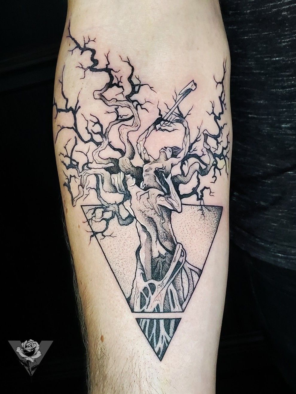 Tattitude  Money Tree tattoo by Anna Cardoza