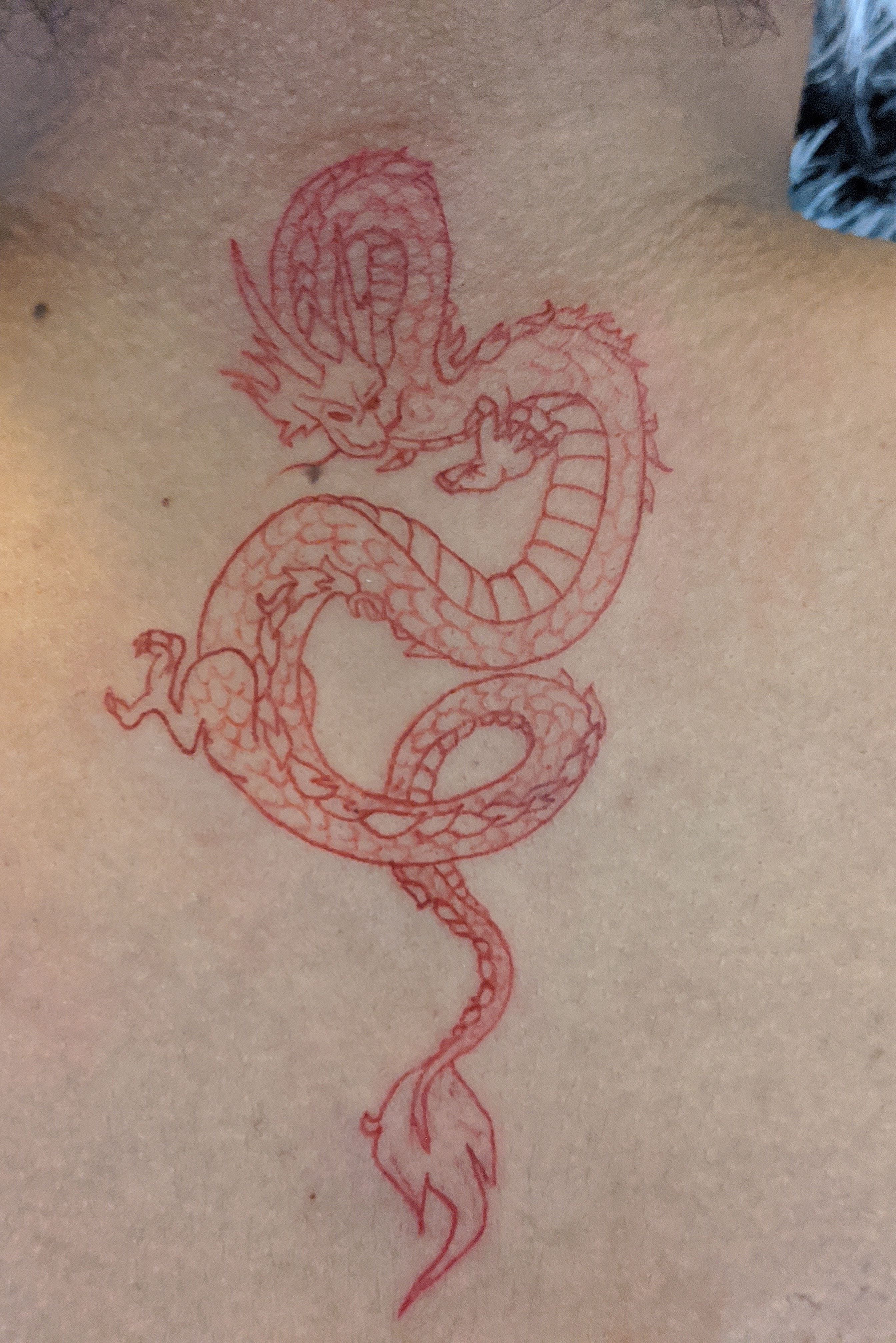 Positive Vibrations Tattoos Malta  Red dragon tattoo for a girl on fire  Thank you Kylie Kelly and welldone for sitting solid was a pleasurenow  booking SeptemberOctoberpm for a consultation  Facebook