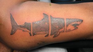 Shark tattoo. 