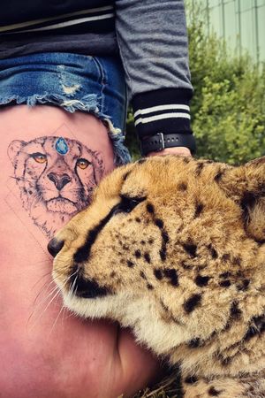 Cool Cheetah portrait based on this gorgeous face 😂 #cheetahtattoo #realism 