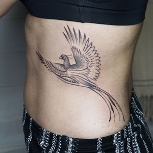 Fine line phoenix tattoo - Tattoo Chiang Mai, Thailand   #phoenix #finelinetattoo #fineline #phoenixtattoo #patternwork #polynesiantattoo #tattoochiangmai #amazingtattoos #tattoostudiochiangmai #Bangkok #tatuagem #tatouage #tattooistartmag #besttattoos #Tattoodo #tattooart #birdtattoo #animaltattoo #blackink #bnginksociety #inkart #inked #inkstagram #instatattoo #blacktattooart #blacktattooing 