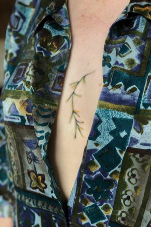 Asparagus fern #tattoo #tattoos #tatts #uk #nottingham #colourfultattoos #watercolourtattoo #flowertattoo #botanicaltattoo #flowers #colour #uktattoos #nottinghamtattoos #inked #ink #colours #floral #floraltattoo #tattooideas #tattoodesign #details #tattoodetails #greenpower #green #detailedtattoos #microrealism #femininetattoos #delicatetattoos