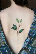 Branch #tattoo #tattoos #tatts #uk #nottingham #colourfultattoos #watercolourtattoo #flowertattoo #botanicaltattoo #flowers #colour #uktattoos #nottinghamtattoos #inked #ink #colours #floral #floraltattoo #tattooideas #tattoodesign #details #tattoodetails #greenpower #green #detailedtattoos #microrealism #femininetattoos #delicatetattoos