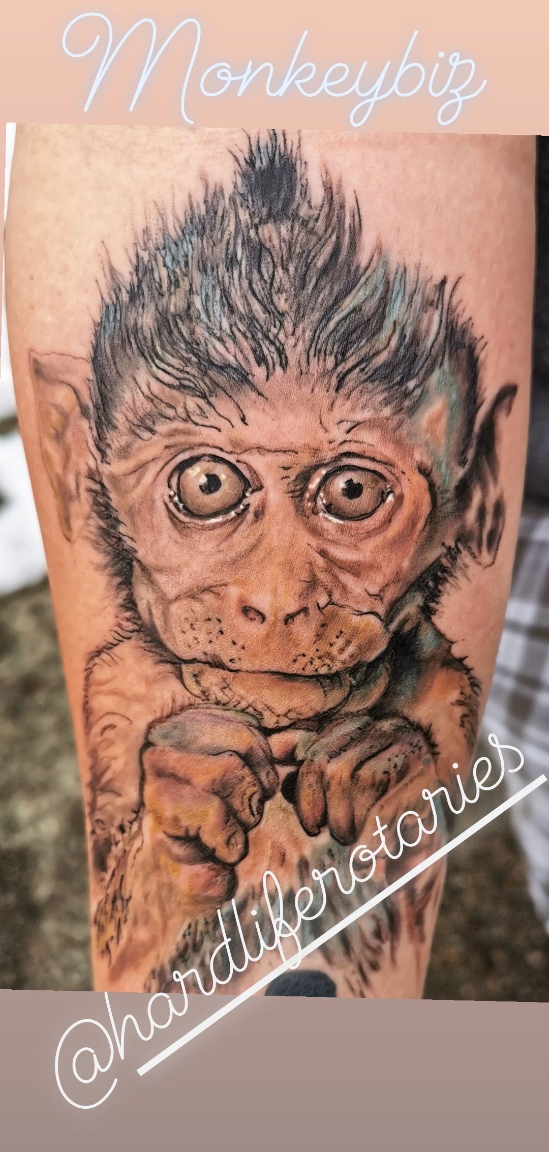 Pin by Eve Georgeson on Tattoos  Monkey tattoos Gorilla tattoo Animal  tattoos