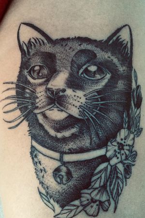 #Dotwork #blackwork #cat #blackcat #scuptattoo #JasonDuarte