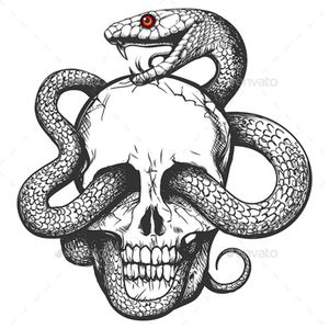 Skull #skull #snake