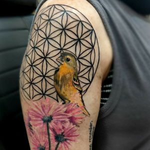 Goldfinch and flower of life