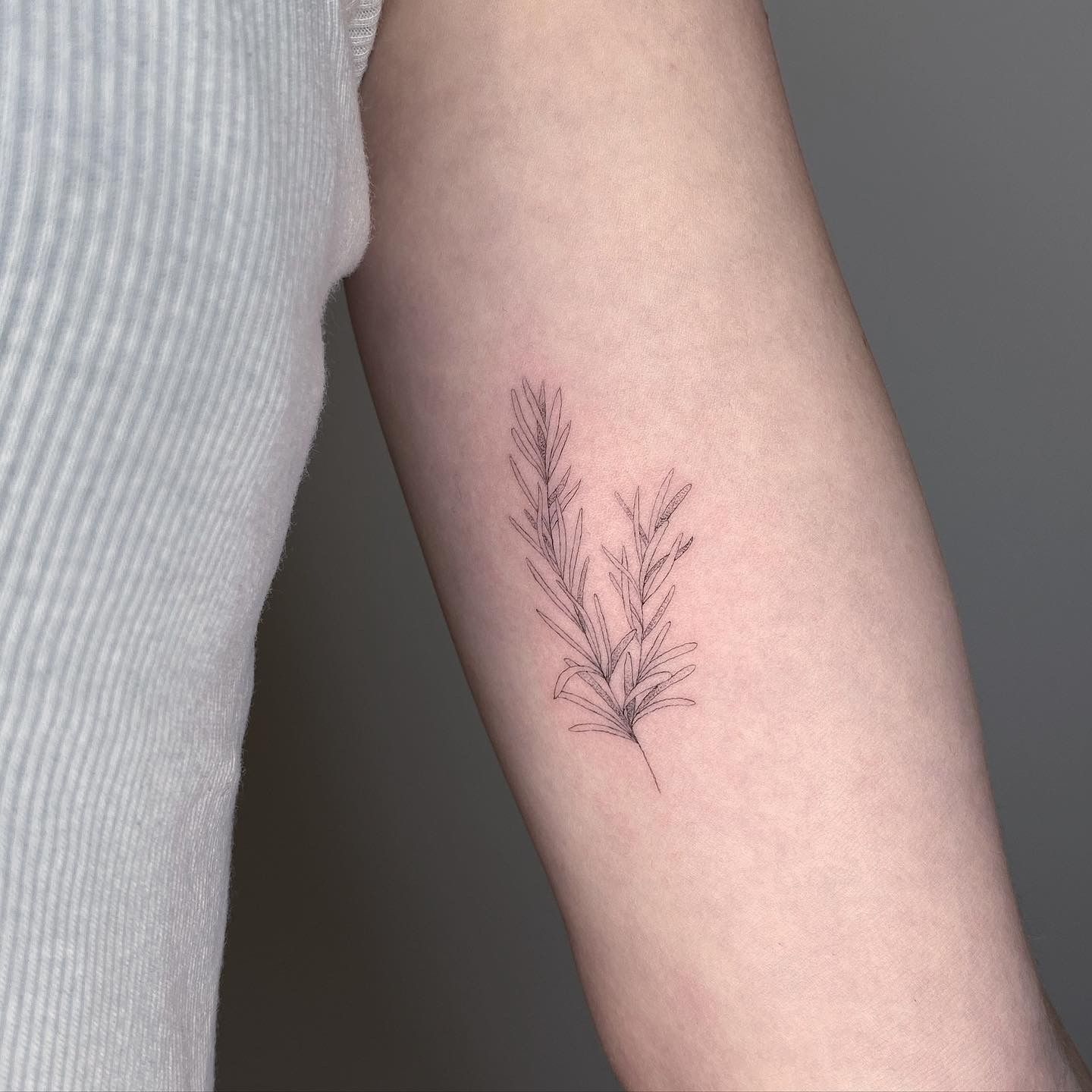 Hailey Lee on Instagram: “Rosemary🌿 . . . #tattoo #torontotattoo #canada  #tattoopeople #toronto #flower #illustration #dra… | Rosemary tattoo, Herb  tattoo, Tattoos