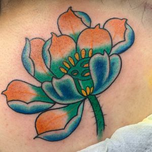 Lotus flower 
