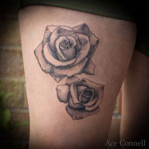 Some fun dotwork realism roses - really enjoying doing the dotwork whip-shading 🌹