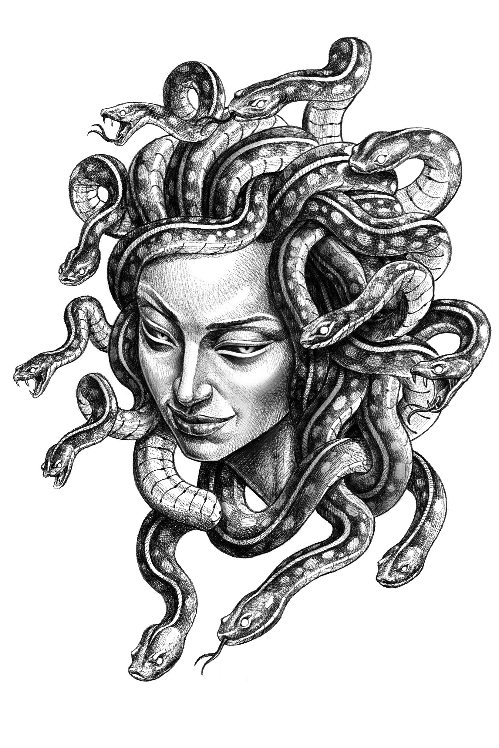 What does the Medusa tattoo mean and a lot (we mean it) of designs for you  6 | Medusa tattoo design, Medusa tattoo, Tattoo designs