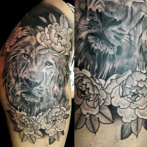 Tattoo #inked #ink #leon #lion #flowers #cocerup #leontattoo #liontattoo #blackandgrey #blackandgreytattoo #black #tapado #whipeshading #whipeshadingtattoo #luchotattoo #luchotattooer #pergamino 