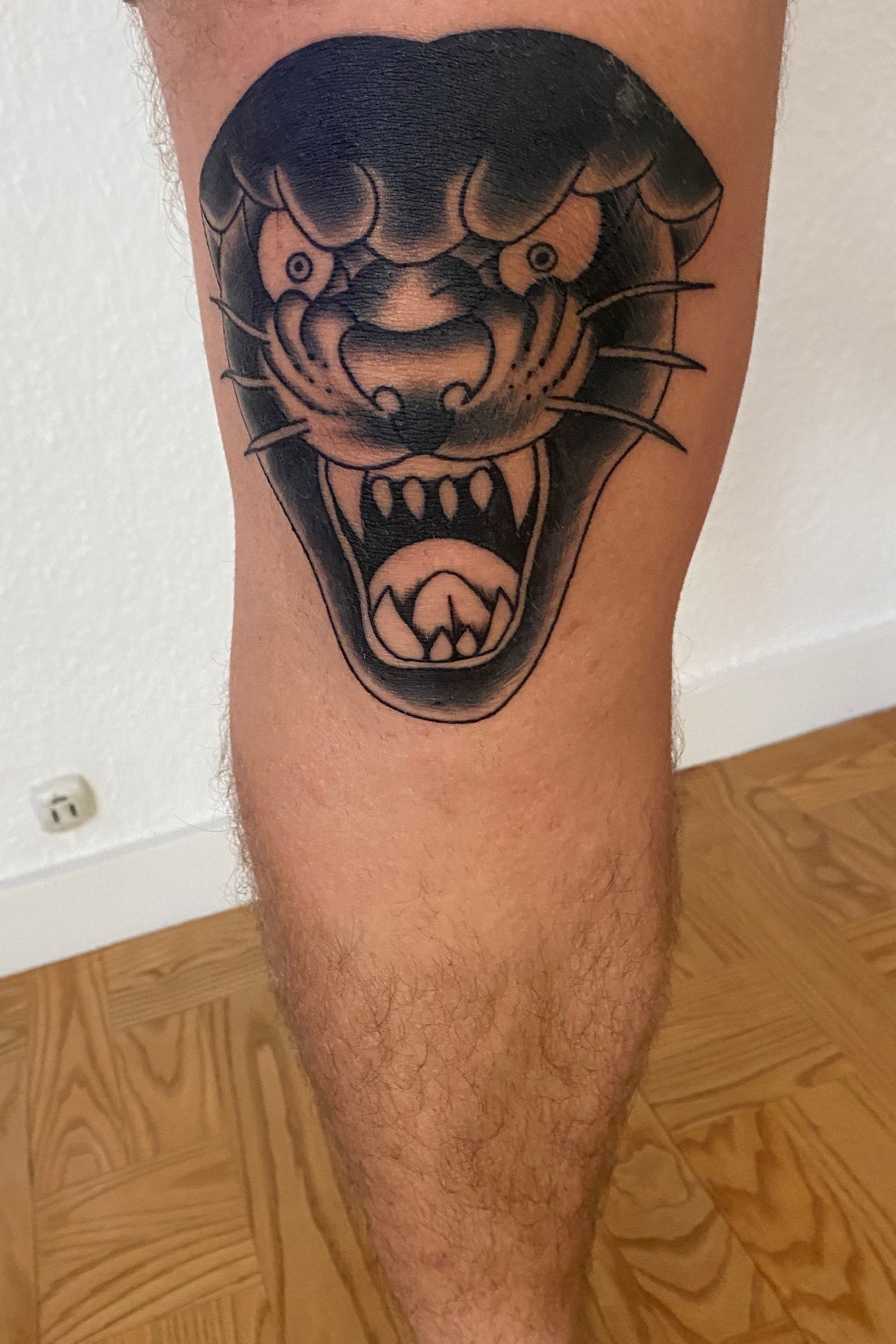 Dan Ryan on Twitter New knee Tattoosswollen as fook but done in the one  session tattoos traditional panther tiger httptcoKZY2o1DlWb   Twitter