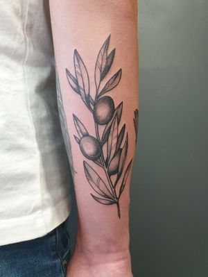 An olive branch done in dotwork style