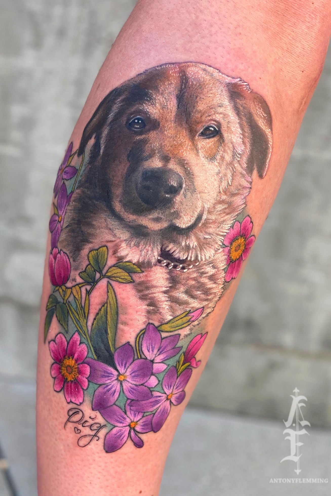 Minimalist dog tattoo on the inner arm