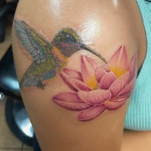 Hummingbird touch up and Lotus add on